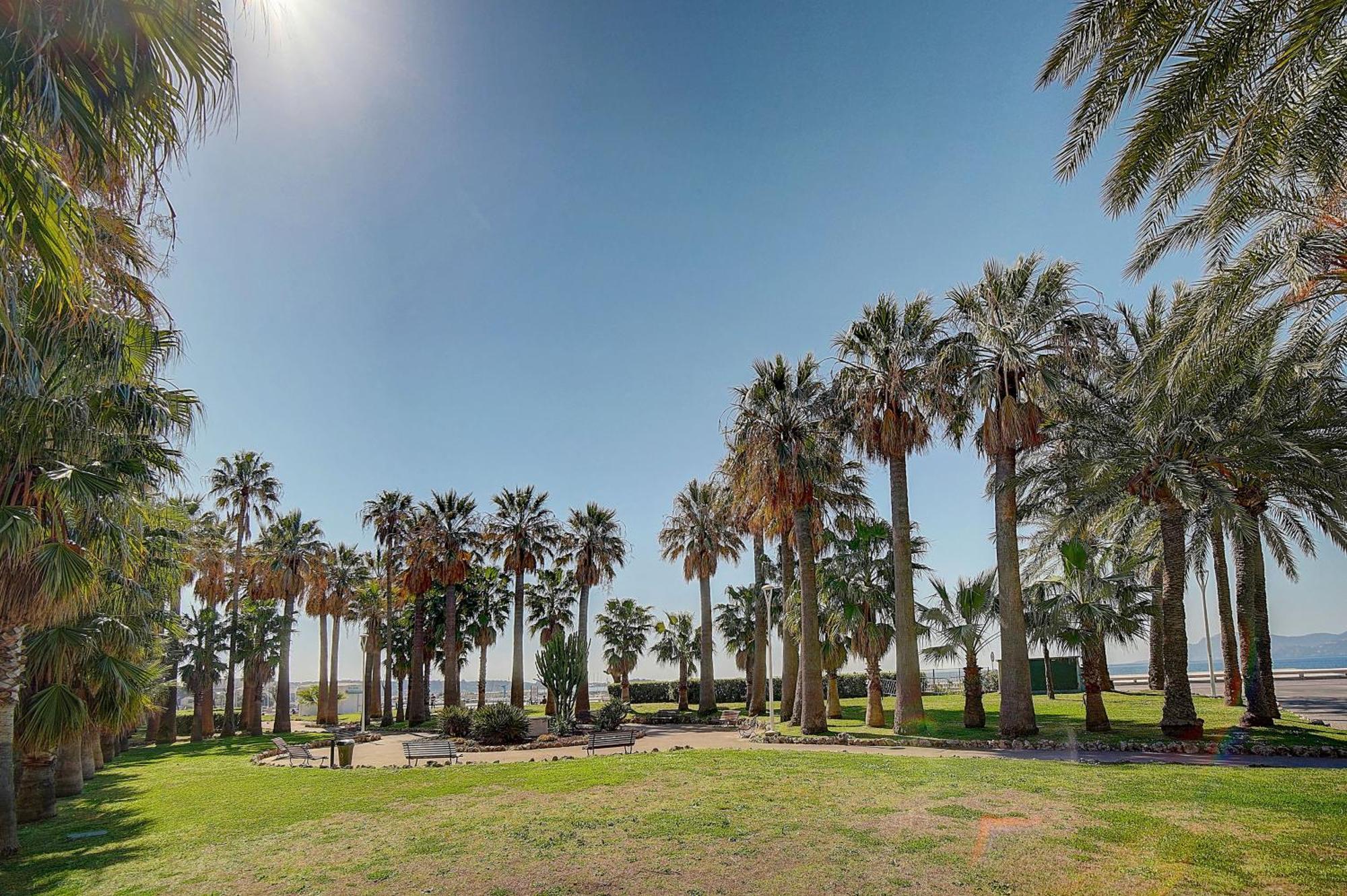 Le Palm - 100M Plage - Croisette - Verriere Cote D'Azur Cannes Exterior photo