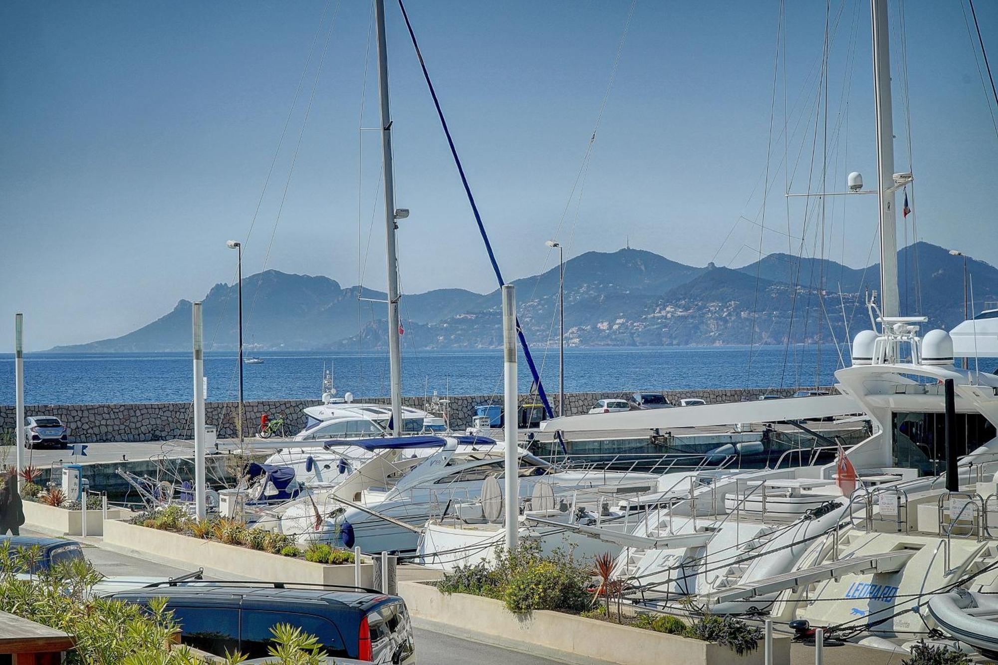 Le Palm - 100M Plage - Croisette - Verriere Cote D'Azur Cannes Exterior photo